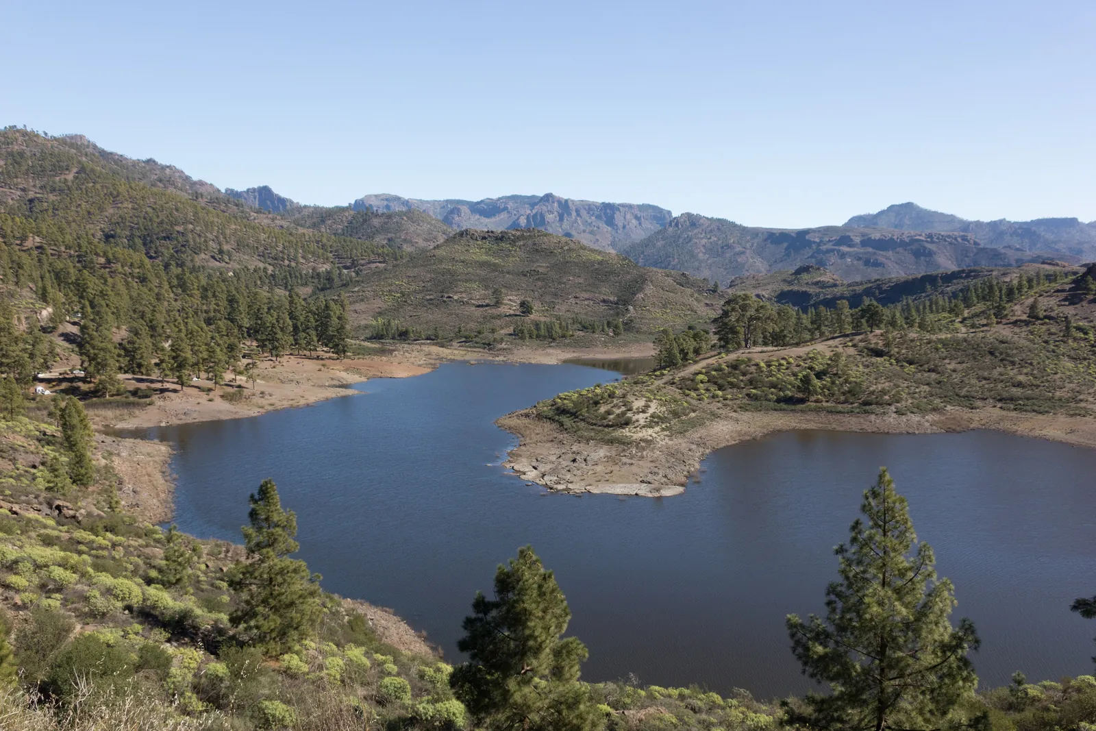 Reservoir among Canary pines with mountain ridges behind, one of the dams in the Arguineguín valley system