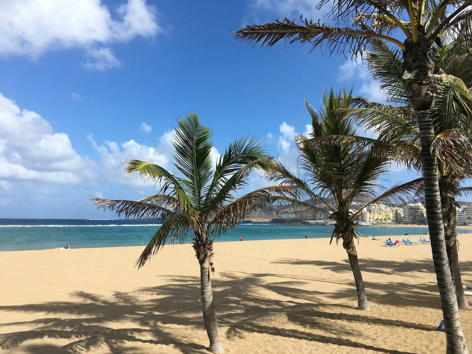 Palm trees casting shadows on a sunny sand beach with turquoise sea and blue sky