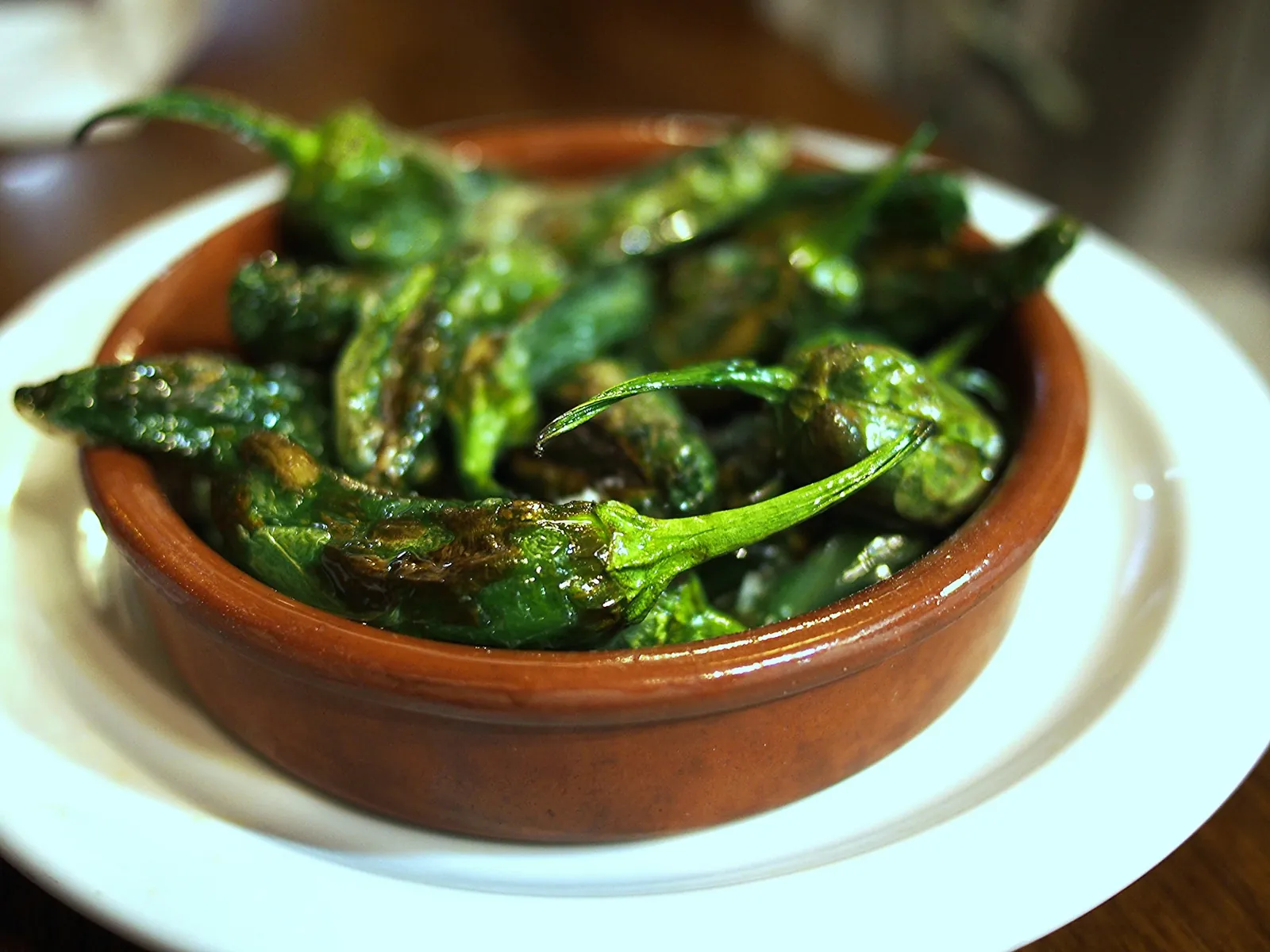 Fried padrón peppers in a terracotta dish, a classic tapa