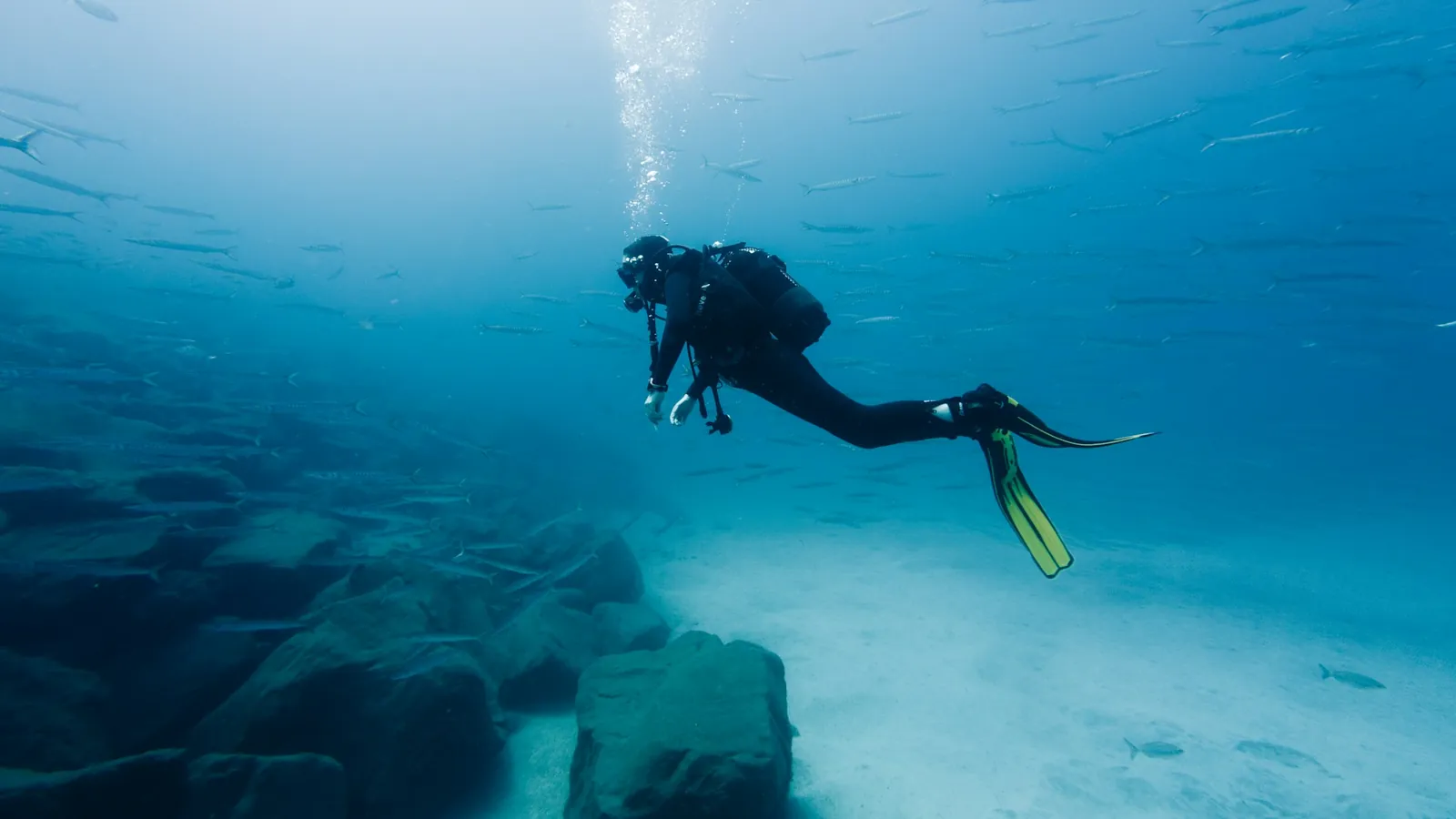 Scuba diver swimming over rocks and sand with a shoal of fish in hazy blue water