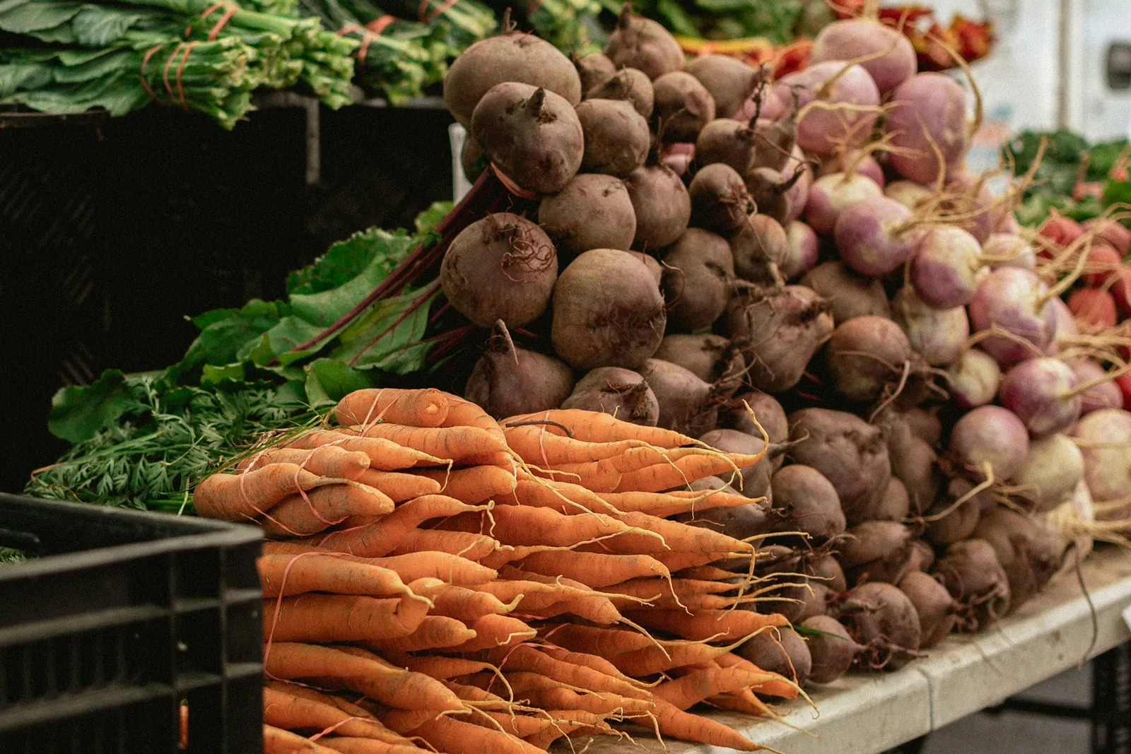 Fresh carrots, beetroot and radishes piled on a market stall table